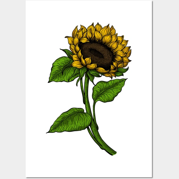 Sunflower 2 Wall Art by katerinamk